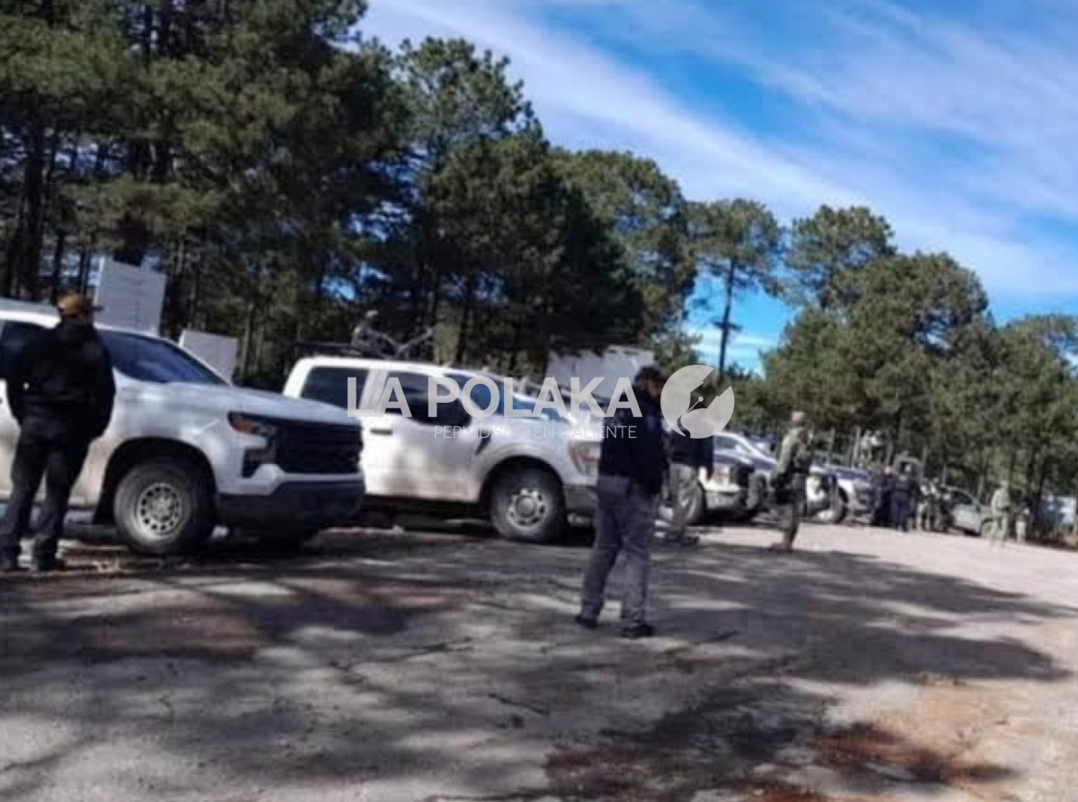 Aviso Urgente a Gringos